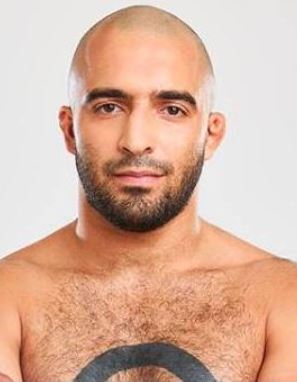 Gabriel Arab Al-Sulwi